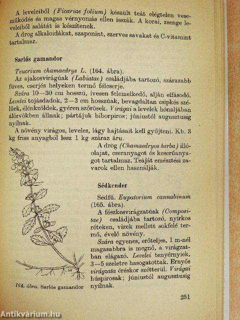 Gyógyító növények