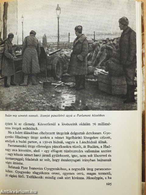 Magyar napló