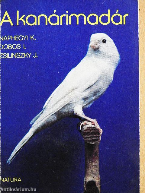 A kanárimadár