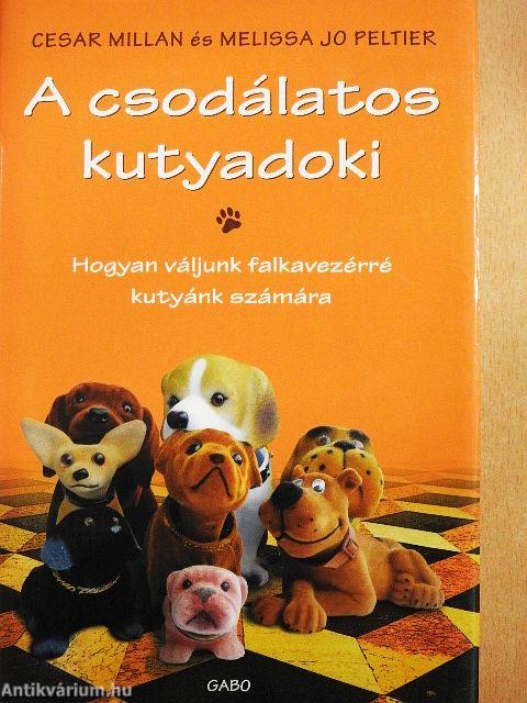 A csodálatos kutyadoki