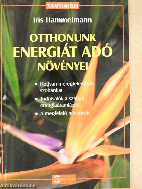 Otthonunk energiát adó növényei
