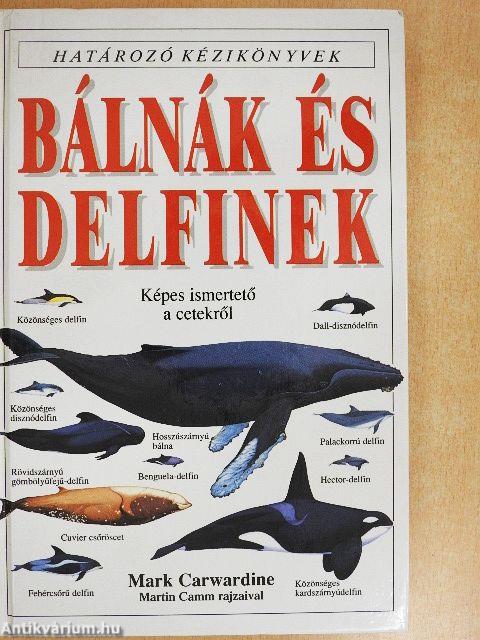 Bálnák és delfinek