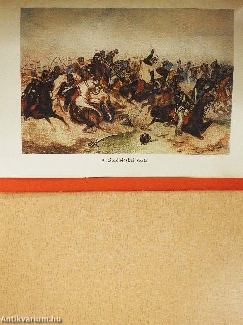 A szabadságharc csatái