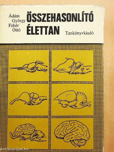 Összehasonlító élettan