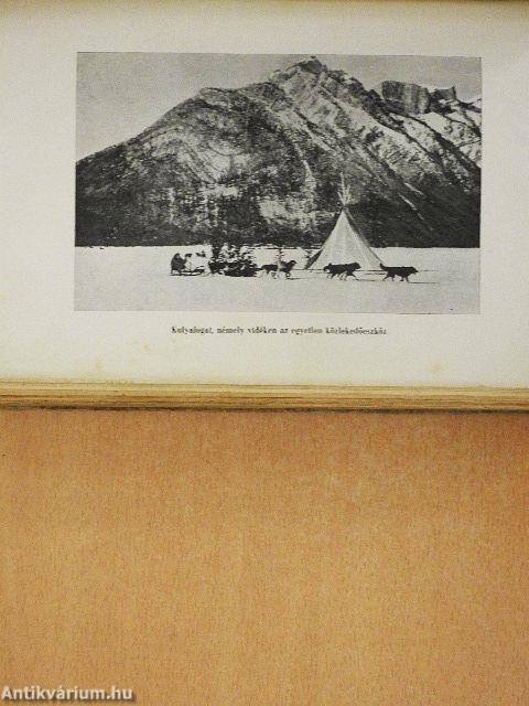 A vadon fiai