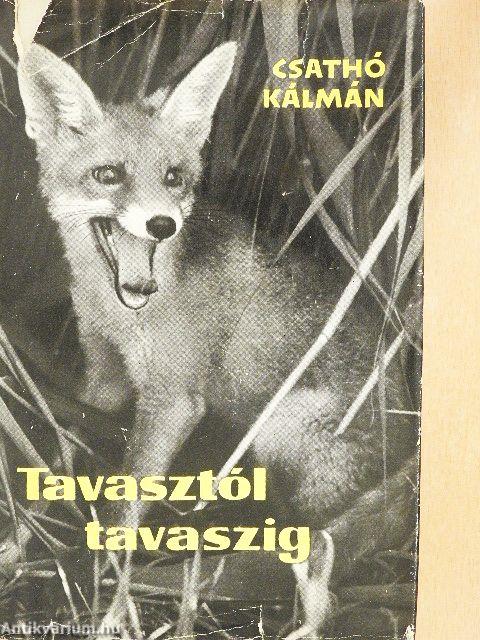Tavasztól tavaszig