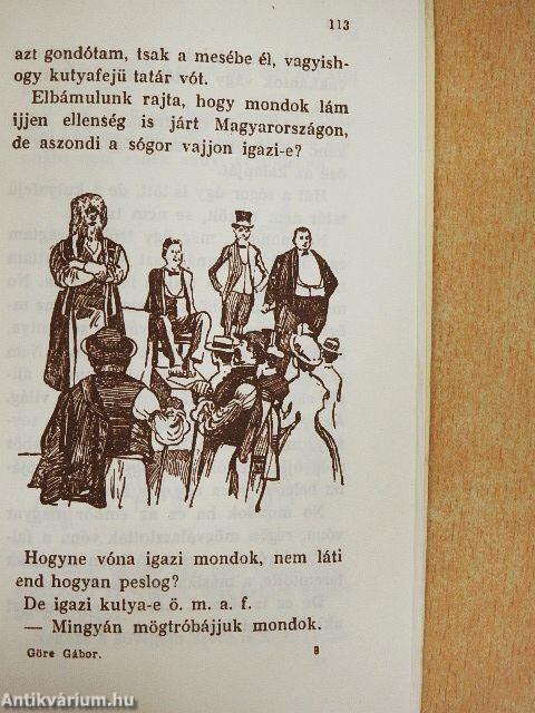 Bojgás az világba