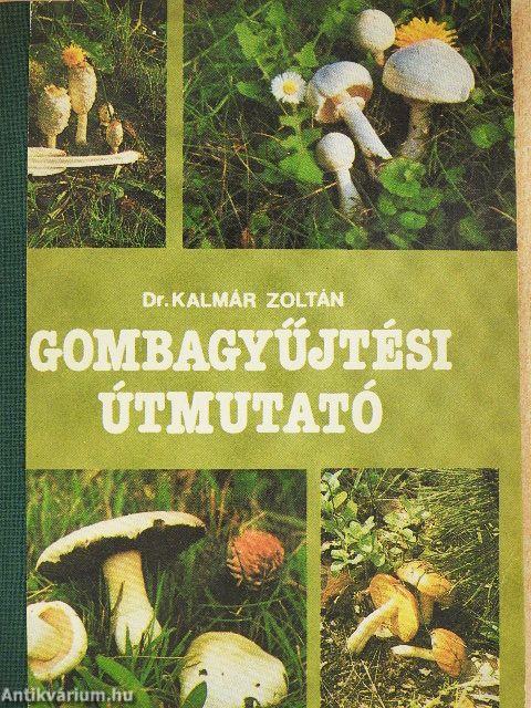 Gombagyűjtési útmutató