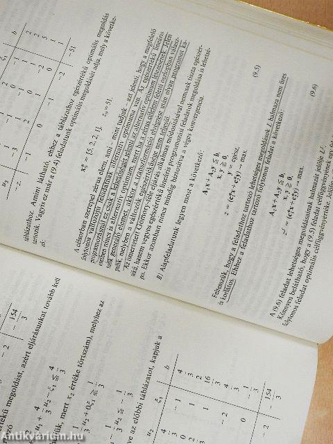 Matematikai programozási gyakorlatok
