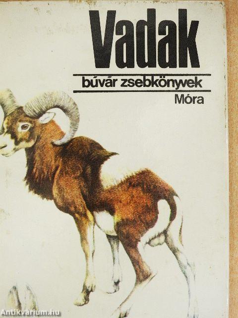 Vadak