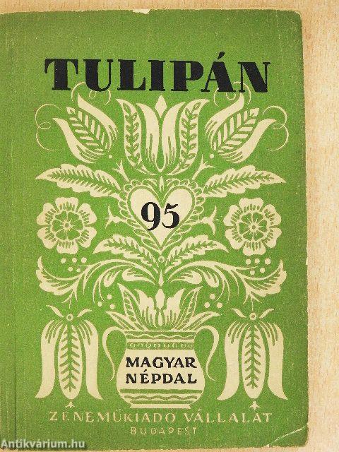 Tulipán