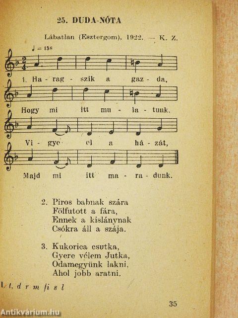 Tulipán