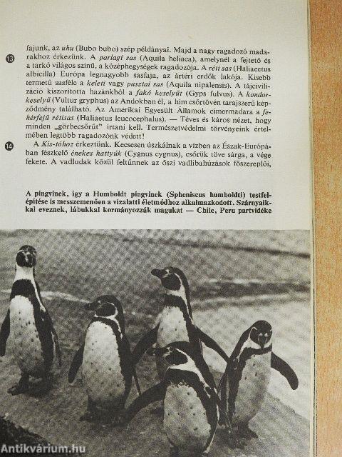 Zoo Budapest