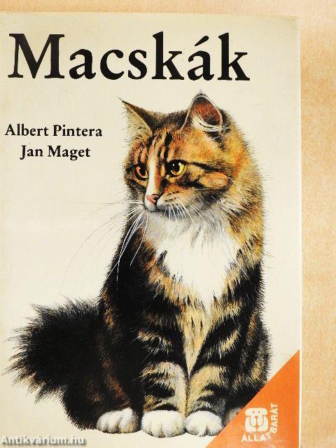 Macskák