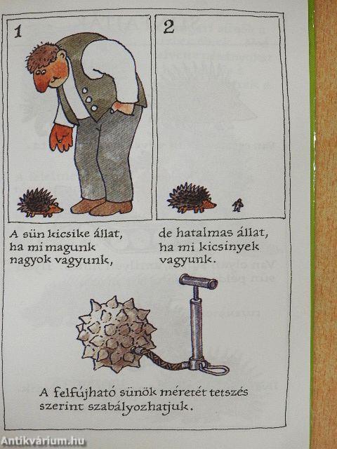 Sünkalauz