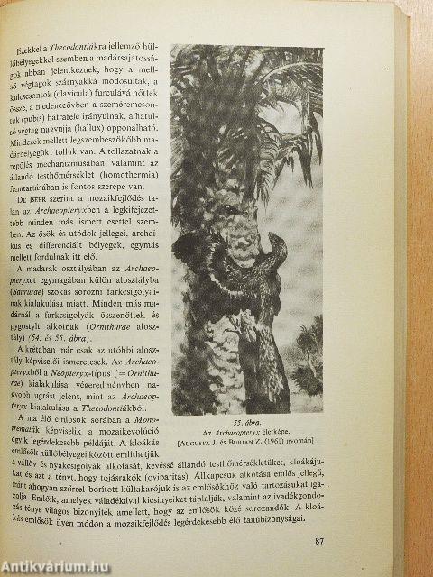 Általános őslénytan