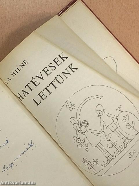 Hatévesek lettünk