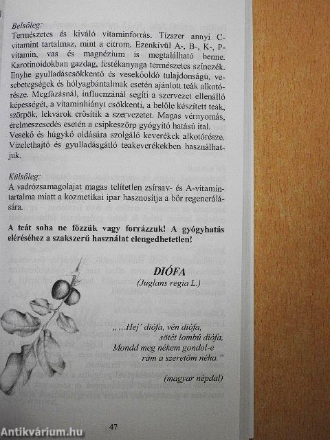 Gyógynövény ABC