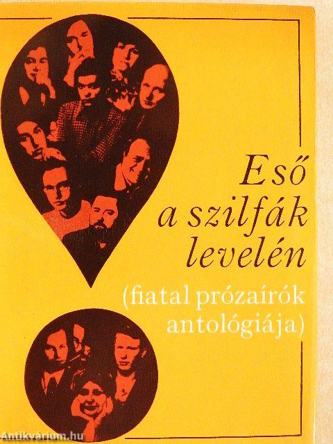 Eső a szilfák levelén