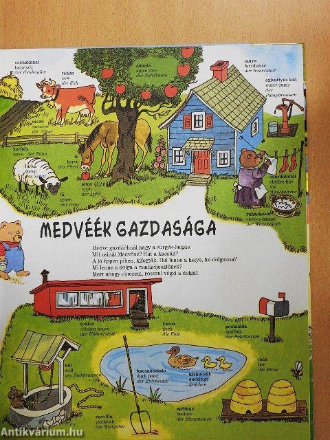 Tesz-vesz szótár