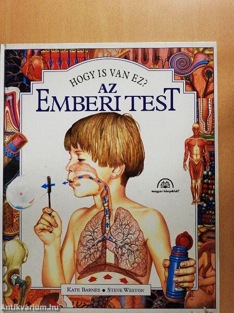 Az emberi test