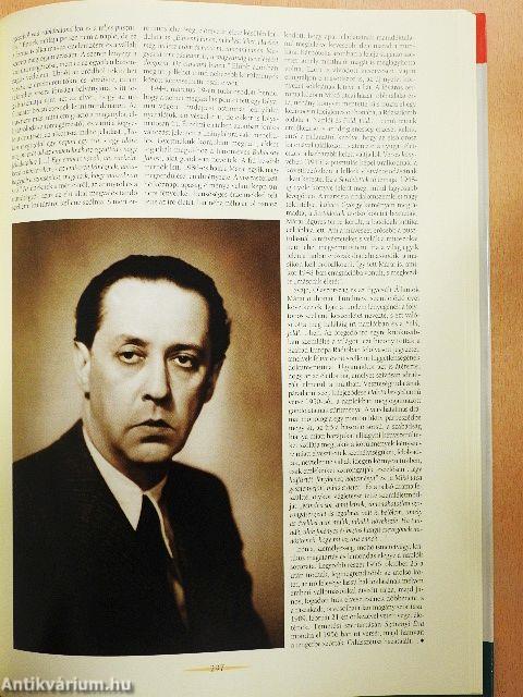 Magyar géniusz