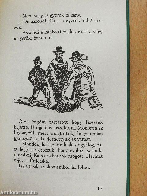 Tapasztalatok