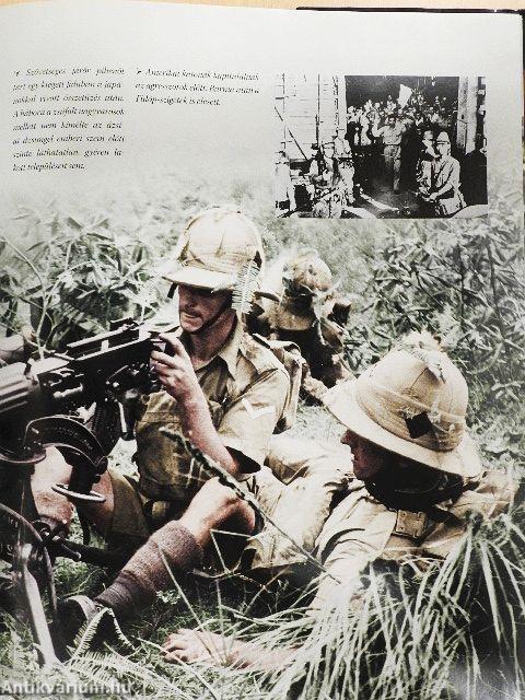 Amerika hadba lép