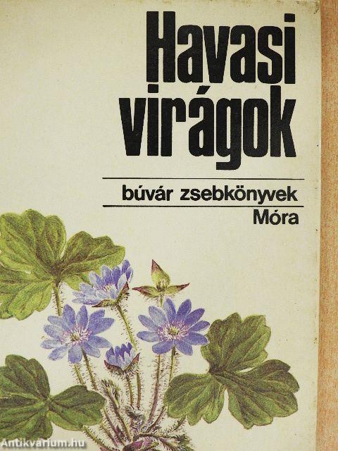 Havasi virágok