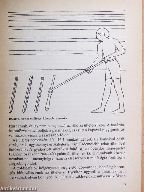 Gyógyító munka a biokertben