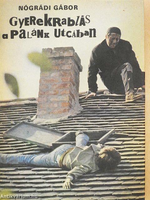 Gyerekrablás a Palánk utcában