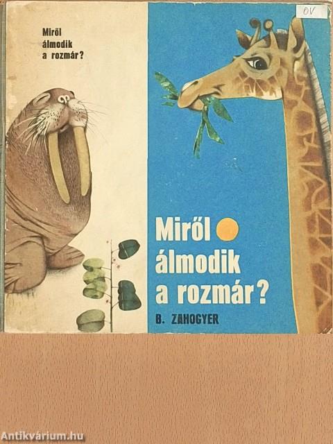 Miről álmodik a rozmár?