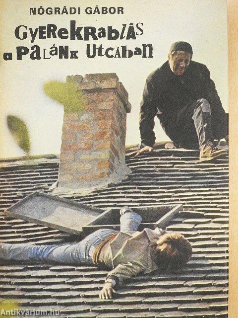 Gyerekrablás a Palánk utcában