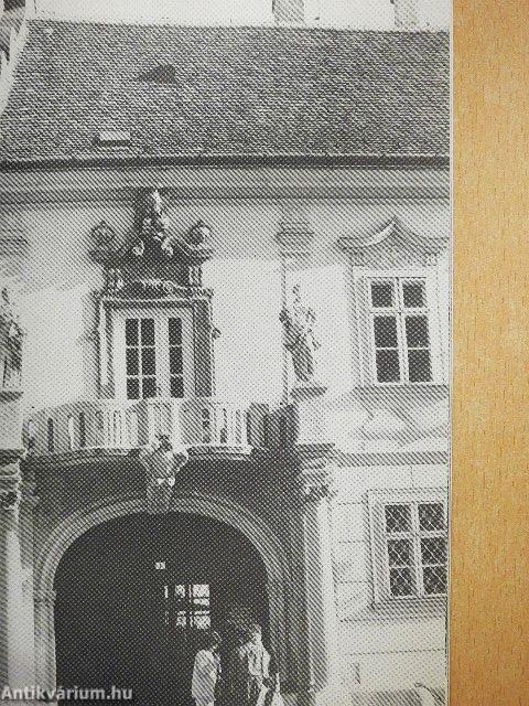Séta a régi Székesfehérvárt