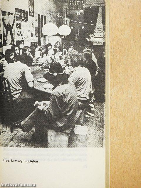 Hippivilág