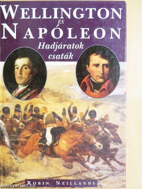 Wellington és Napóleon