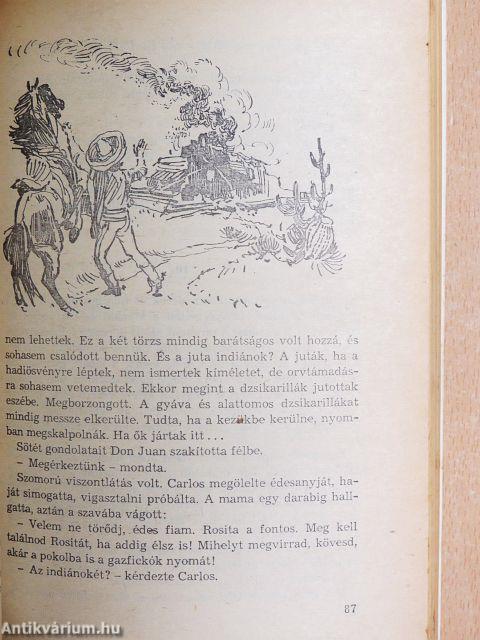 A fehér törzsfőnök