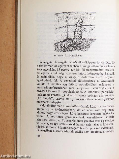 Magatartásgenetika