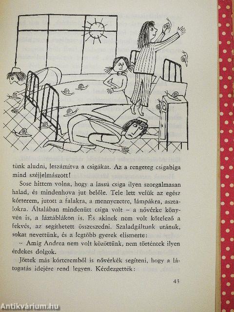 Hárman a szekrény tetején