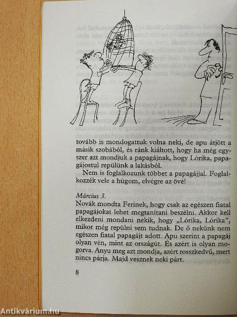 Hajónapló
