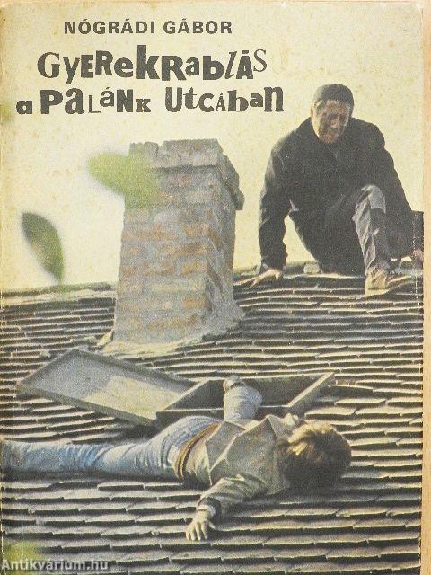 Gyerekrablás a Palánk utcában