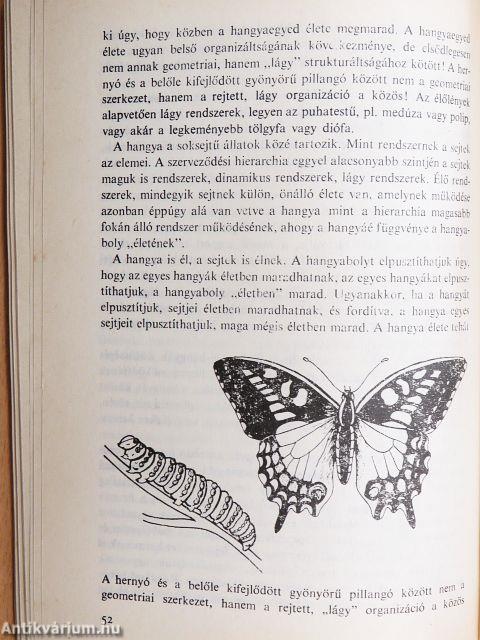 Az élet princípiuma