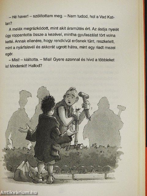 Denisz, a lokomotív
