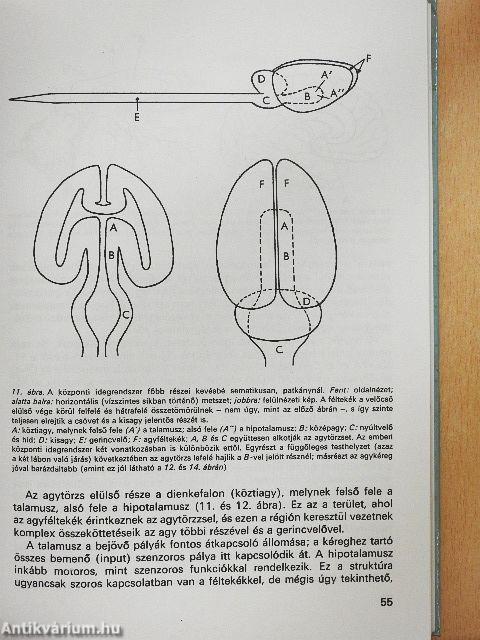 A pszichológia alapkérdései