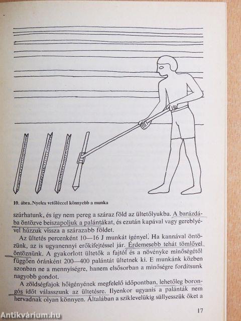 Gyógyító munka a biokertben