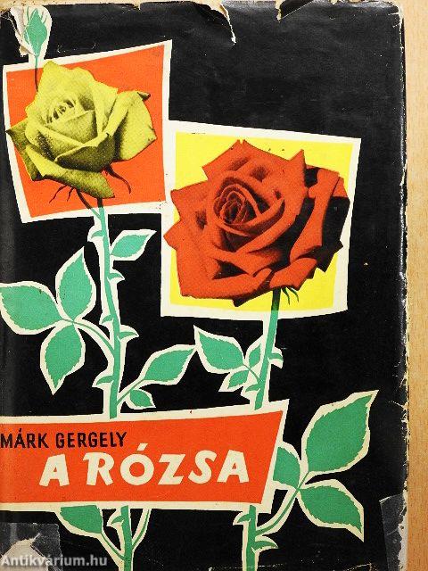 A rózsa