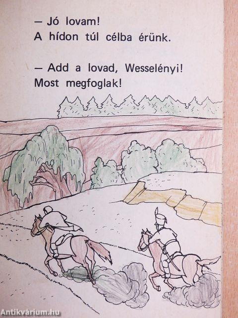 Az árvízi hajós