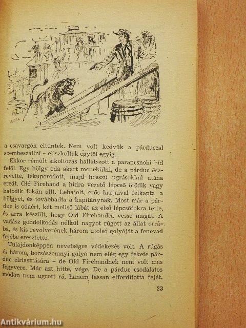 Az Ezüst-tó kincse