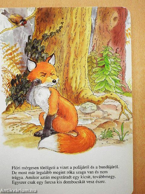 Flori a kisróka