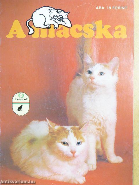 A macska